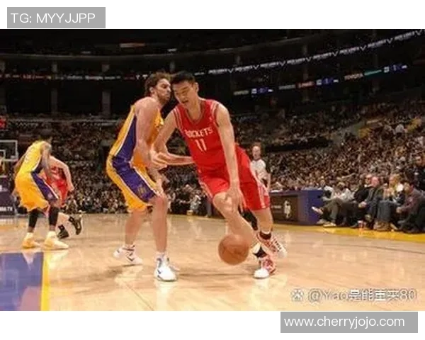 姚明的职业生涯与成就概述：从篮球巨星到国际体育代表的历程