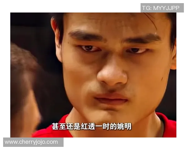 鲨鱼姚明畅谈篮球与海洋生物的奇妙联系与人生哲学